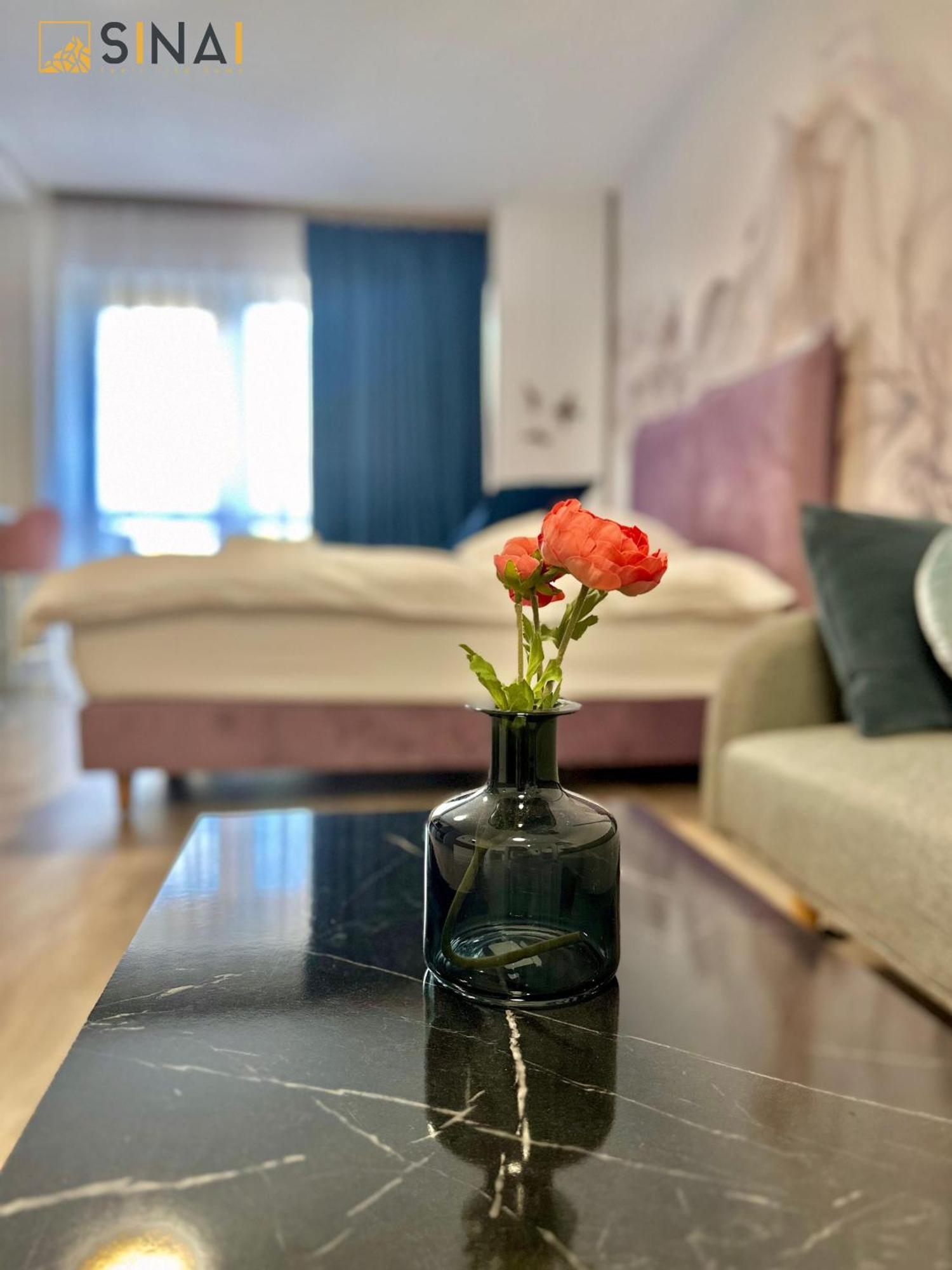 Sinai Aph Apartments Sinaia Dış mekan fotoğraf